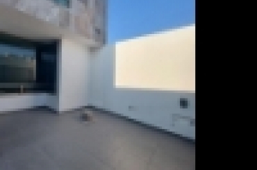 1292543997.jpg