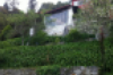 1866475525.png