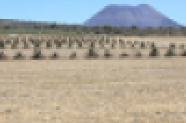 1896344847.png