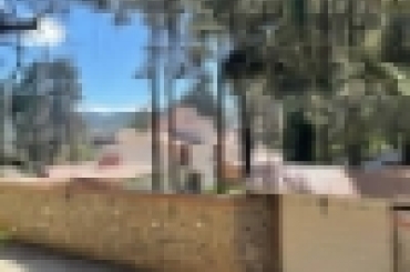 1897406843.jpg