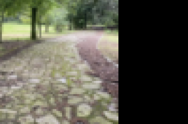1956733716.png