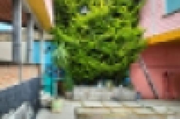 2069680653.jpeg