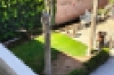 2233861316.jpeg