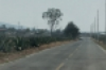 2279113661.jpg