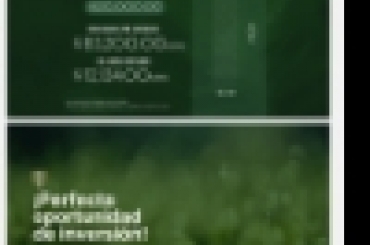 236746906.jpg
