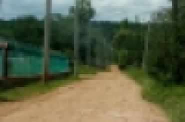 2368645025.jpeg