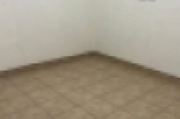 2379573709.jpeg