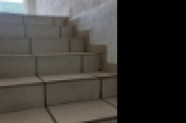 2505499017.jpg