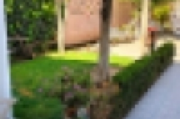 2529715895.jpeg