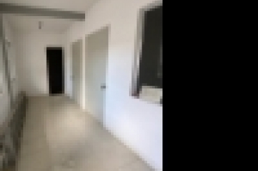 2546793320.jpeg