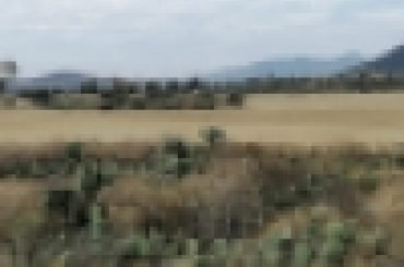 2596217608.jpg