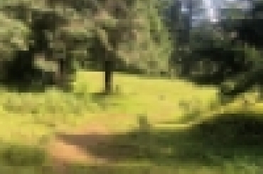 2606626739.jpg