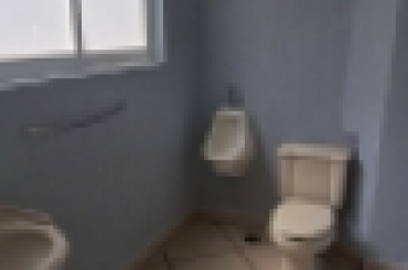 2623798395.jpg
