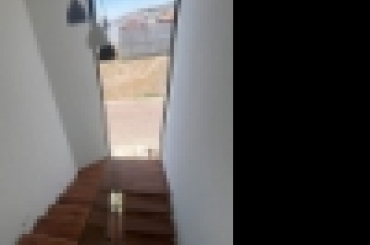2725005857.jpg
