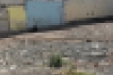 2900608950.jpg