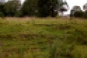 2924710614.jpg