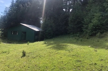 2970032207.jpg