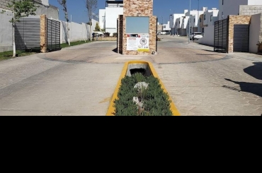 2981869983.jpg