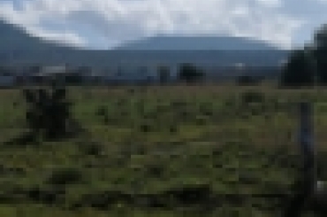 3014704934.jpg