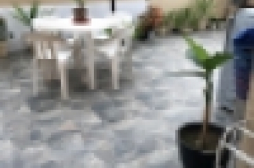 3027637754.jpg