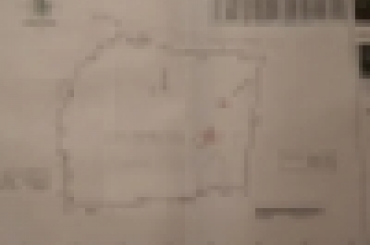 3031679783.jpg