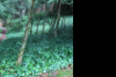 3044310384.png