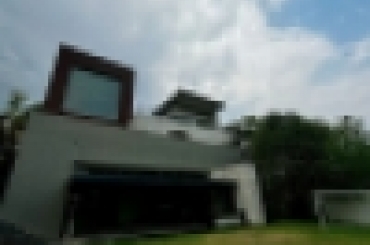 3055663355.jpg