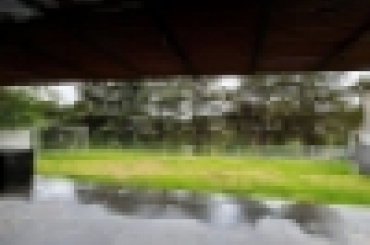 3059422075.jpg