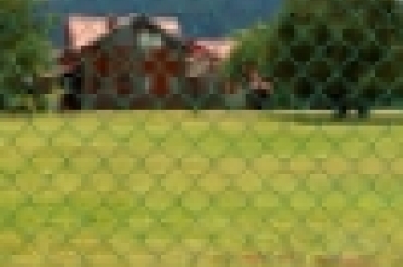 3084402629.jpeg