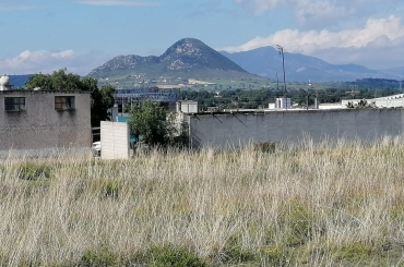 3172351941.jpg