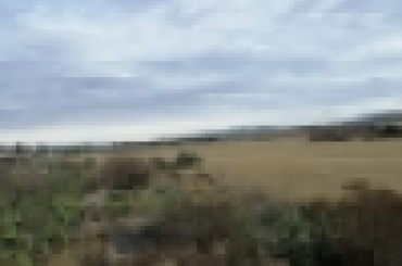 3367534442.jpg