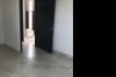 3370563318.jpg