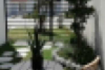 3428080240.jpeg