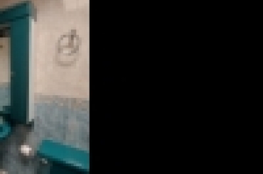 3558303862.jpg