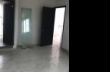 3574889414.jpg