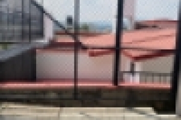3582937545.jpg