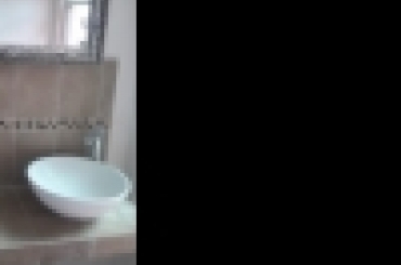 3652613083.jpeg