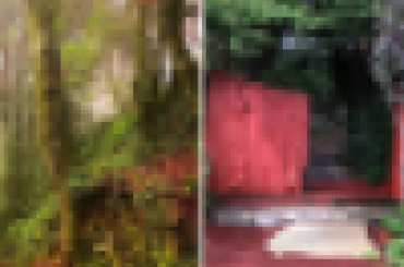 3665473982.png