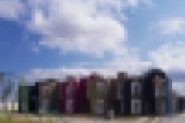 3731653084.jpg