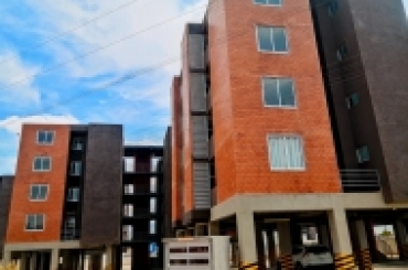 3793613063.jpg