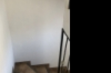 3809487228.jpeg