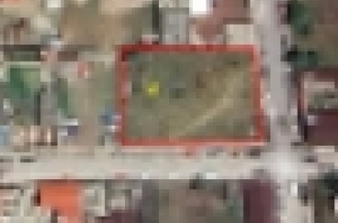 3837707429.jpg