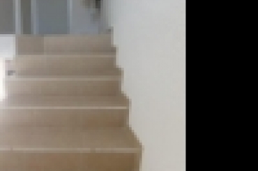3863634439.jpg