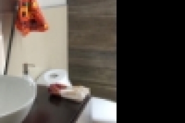 3925936478.jpg