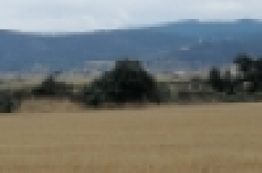 3973029134.jpg