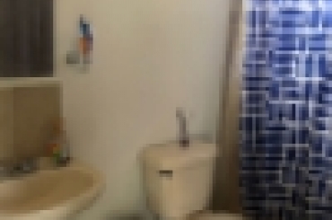 3980381372.jpg