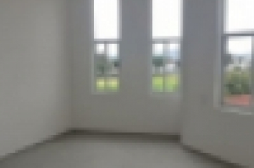 4119070135.jpg