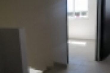 412393133.jpeg