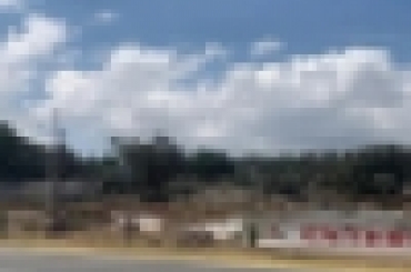 4152375729.jpg