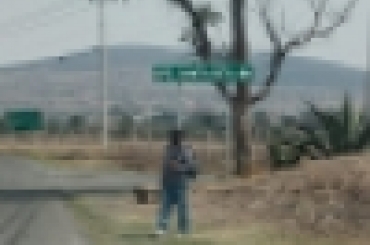4204344567.jpg